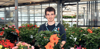 Boucard Horticulture