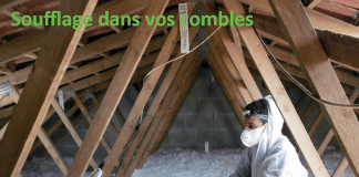 Bel’ Habitat 17