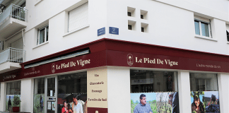 Le Pied de Vigne