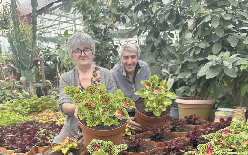 Secrets de Jardin