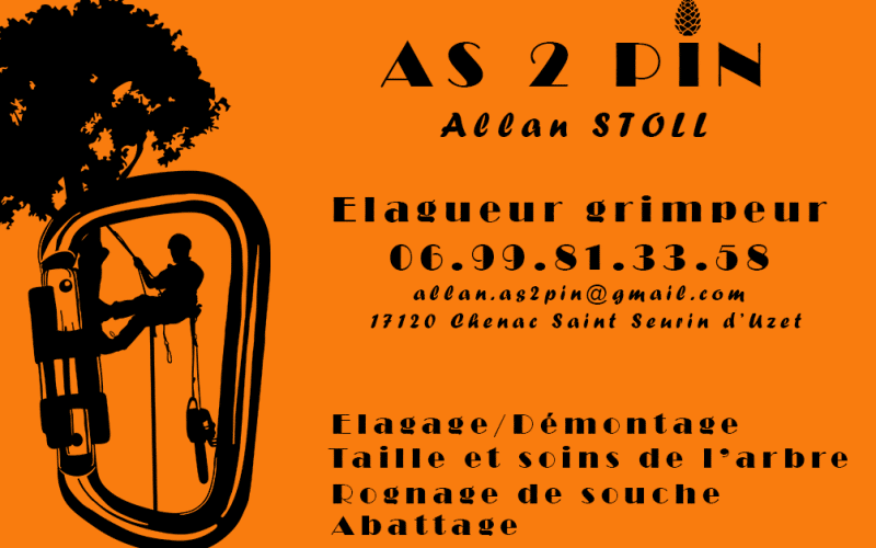 AS 2 PIN