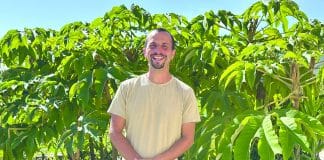 Valentin Jardin