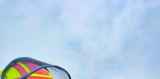 Quercus Élagage  et Paysage