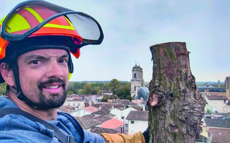 Quercus Élagage  et Paysage