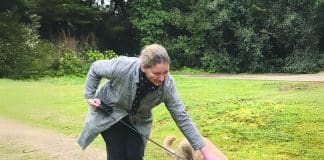 Ô2chats 17 Petsitting