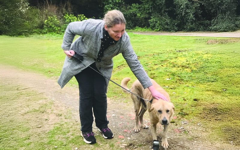 Ô2chats 17 Petsitting