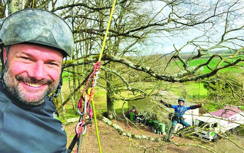 ABF Élagage et Paysage