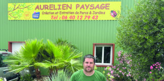 Aurélien  Paysage